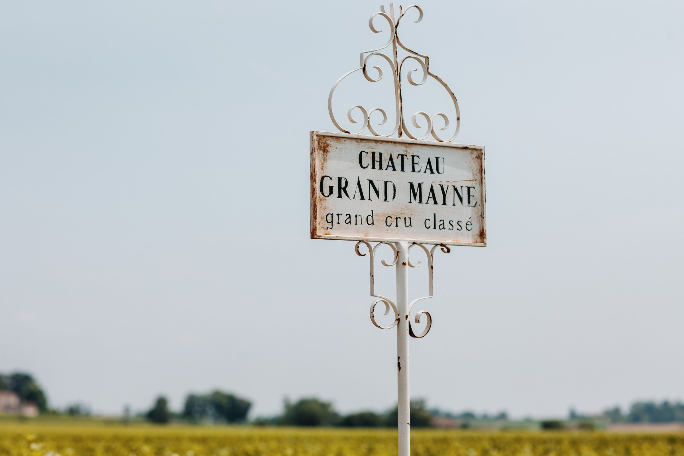 Wine estate photography: Chateau Grand-Mayne - Saint-Emilion - Bordeaux. Château Grand Mayne, a prominent estate in the heart of Saint-Émilion. Dating back to the 15th… - Image 19