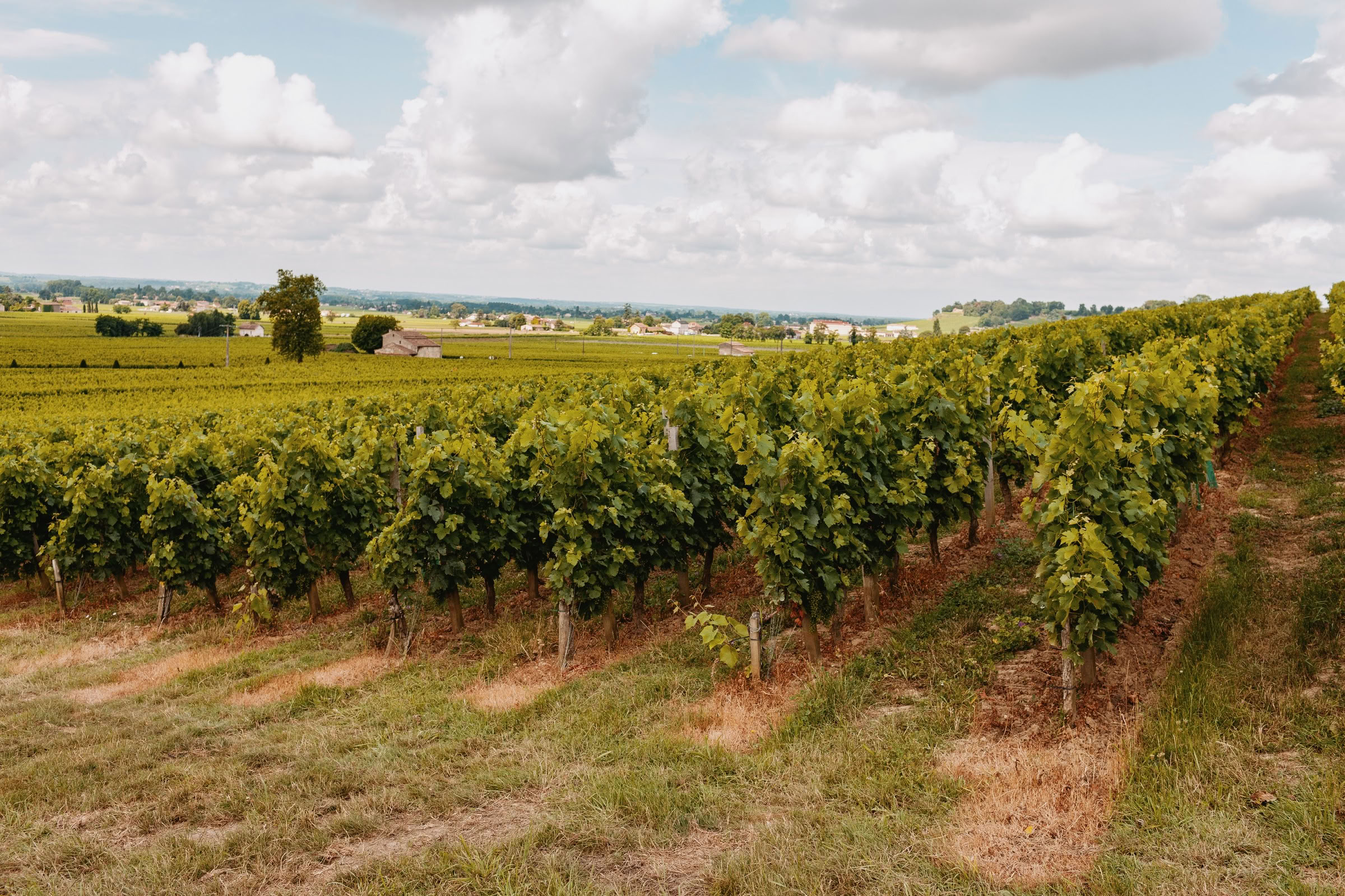 Wine estate photography: Chateau Larcis Ducasse - Saint-Emilion - Bordeaux. Château Larcis Ducasse, a Premier Grand Cru Classé estate in Saint-Emilion. The photograph showcases… - Image 11