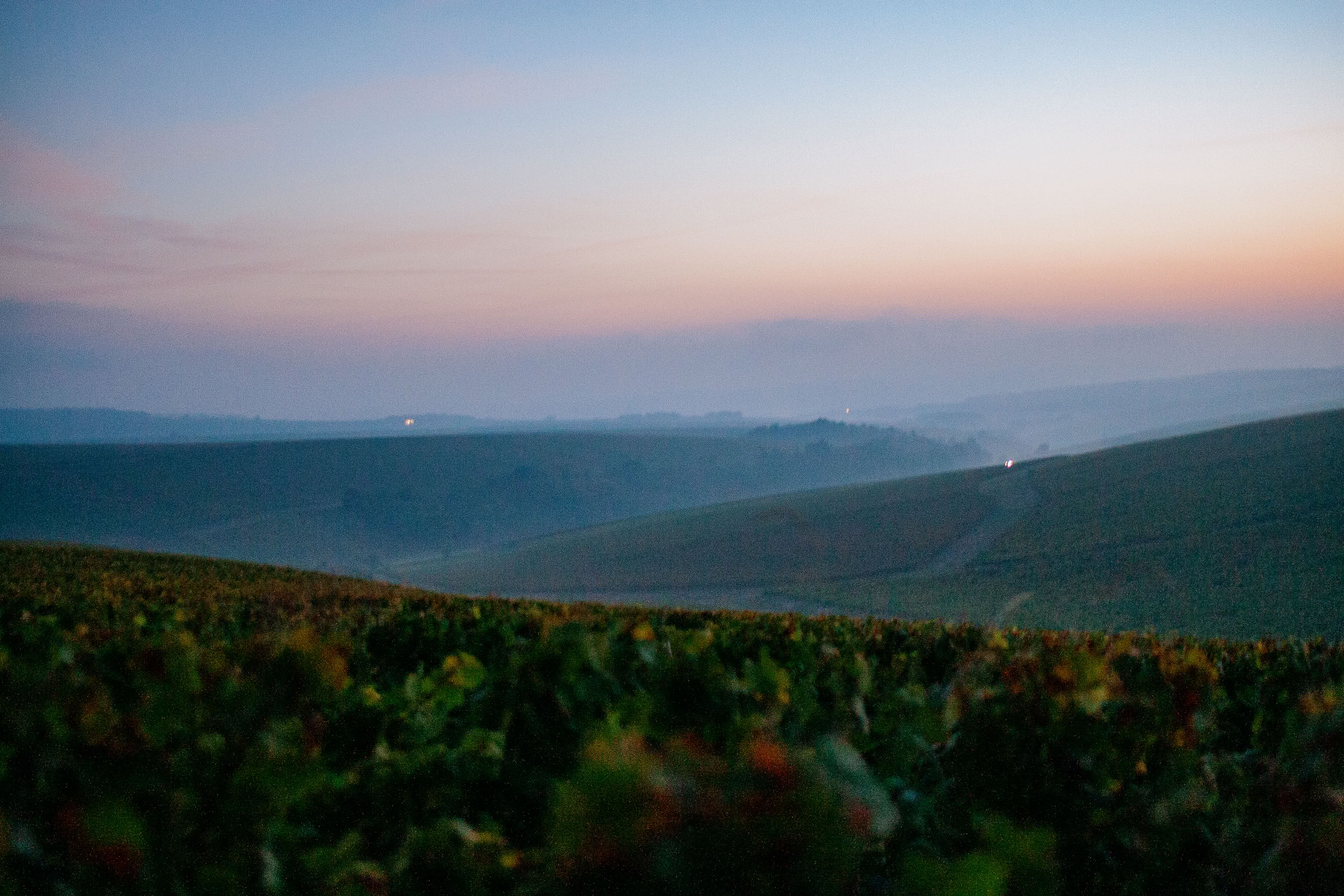 Wine estate photography: Domaine Jean Marc Brocard - Chablis - Bourgogne. Jean-Marc Brocard, a pioneer in organic and biodynamic viticulture in Chablis, has been committed to… - Image 9