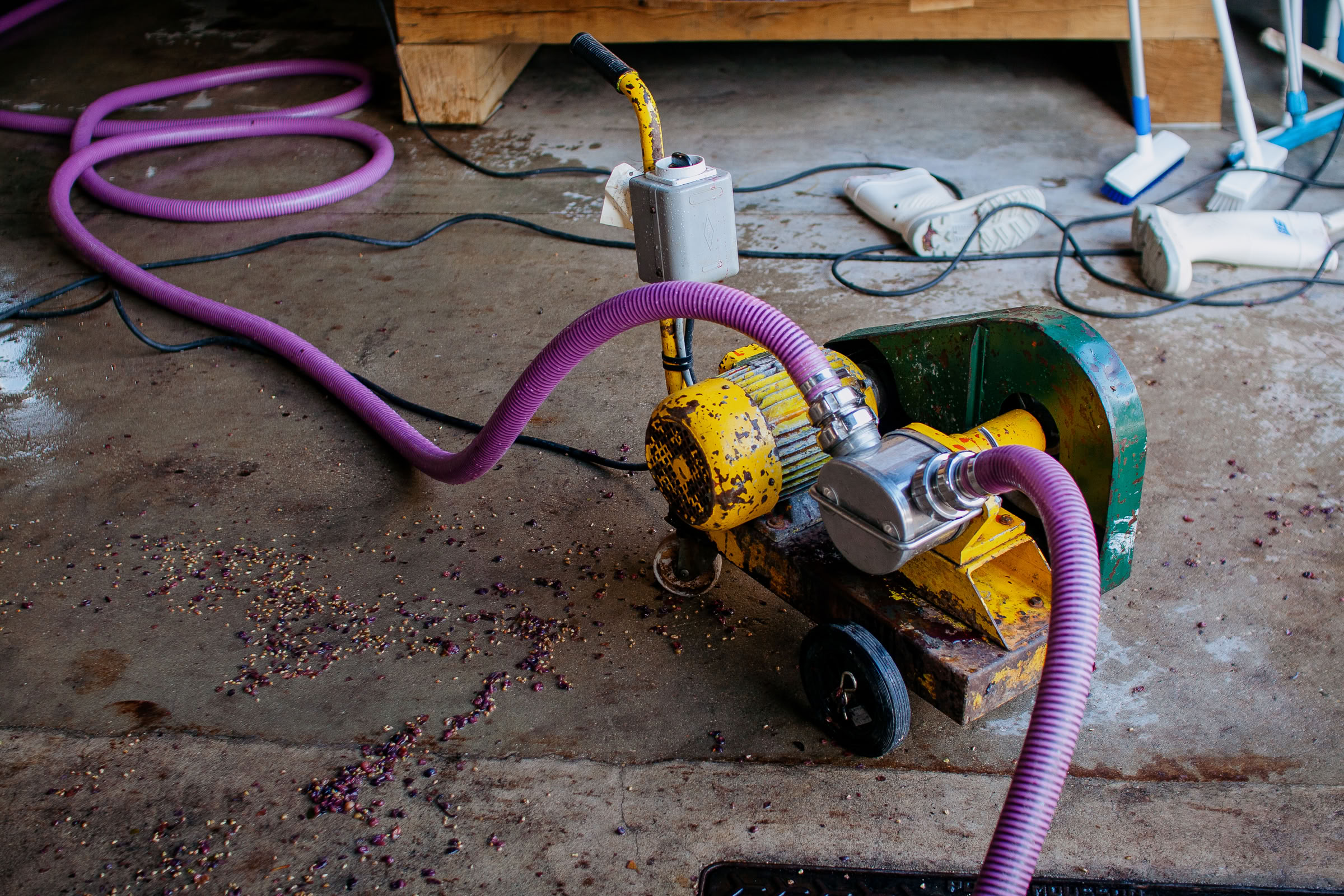 Wine estate photography: Domaine Jean Marc Brocard - Chablis - Bourgogne. Jean-Marc Brocard, a pioneer in organic and biodynamic viticulture in Chablis, has been committed to… - Image 12