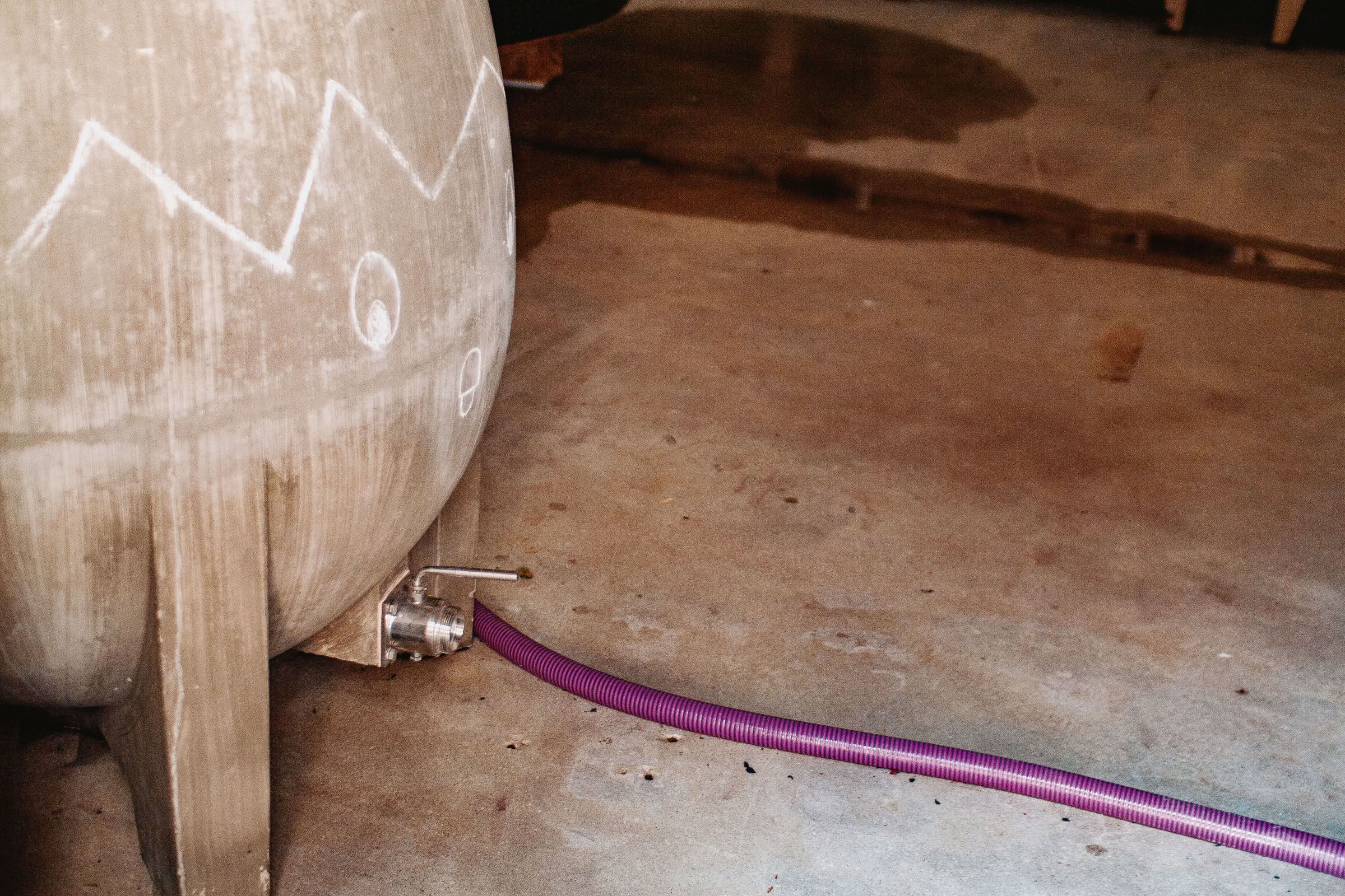 Wine estate photography: Domaine Jean Marc Brocard - Chablis - Bourgogne. Jean-Marc Brocard, a pioneer in organic and biodynamic viticulture in Chablis, has been committed to… - Image 14