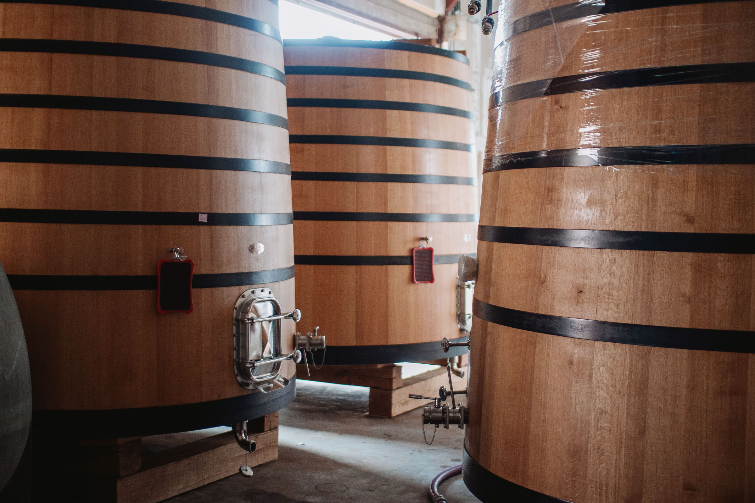 Wine estate photography: Domaine Jean Marc Brocard - Chablis - Bourgogne. Jean-Marc Brocard, a pioneer in organic and biodynamic viticulture in Chablis, has been committed to… - Image 15