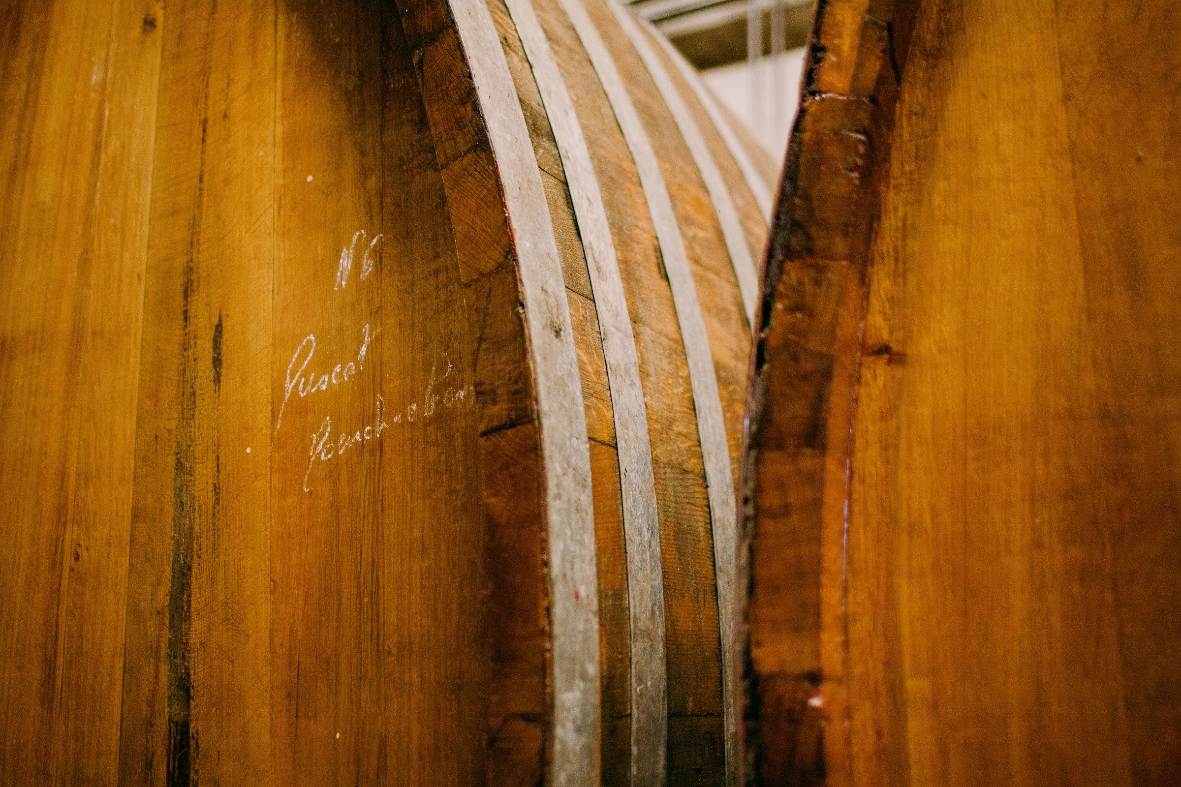 Wine estate photography: Domaine Rolly Gassmann - Rorschwihr - Alsace. Le Domaine Rolly Gassmann, situé à Rorschwihr en Alsace, est une propriété viticole familiale… - Image 1