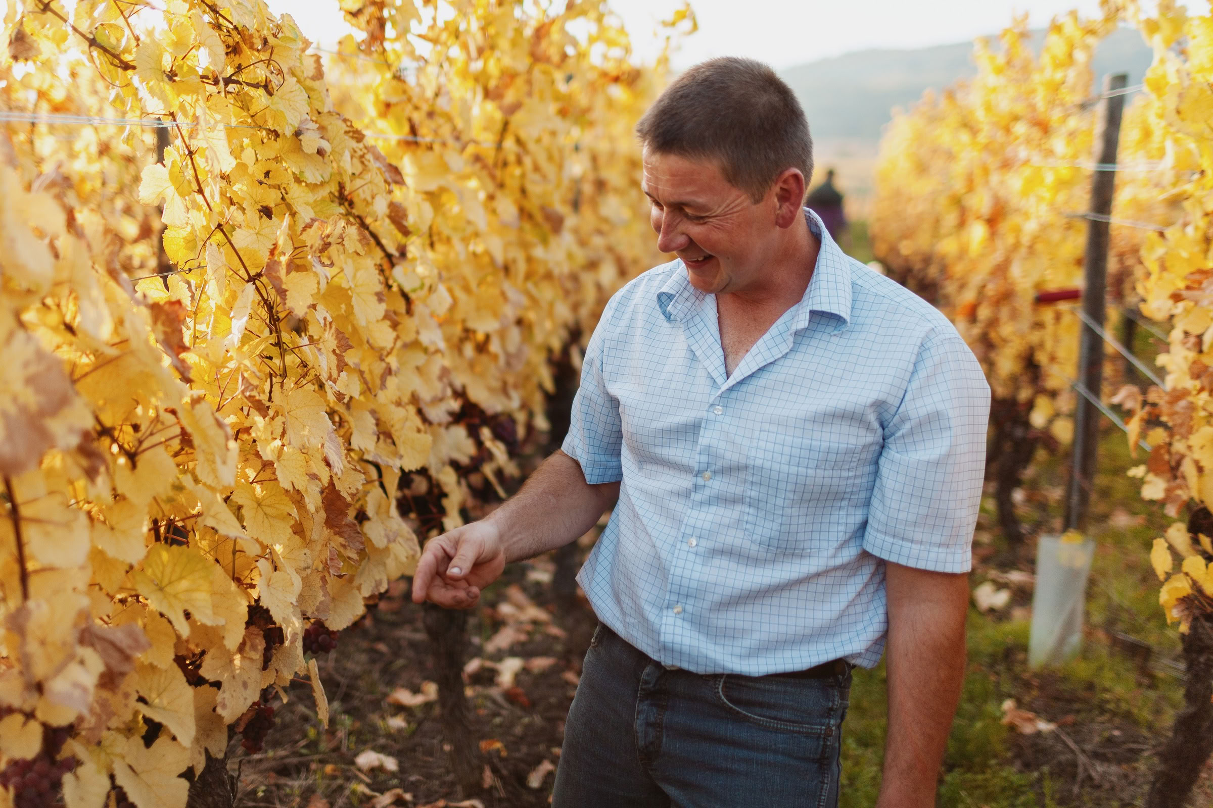 Wine estate photography: Domaine Rolly Gassmann - Rorschwihr - Alsace. Le Domaine Rolly Gassmann, situé à Rorschwihr en Alsace, est une propriété viticole familiale… - Image 4