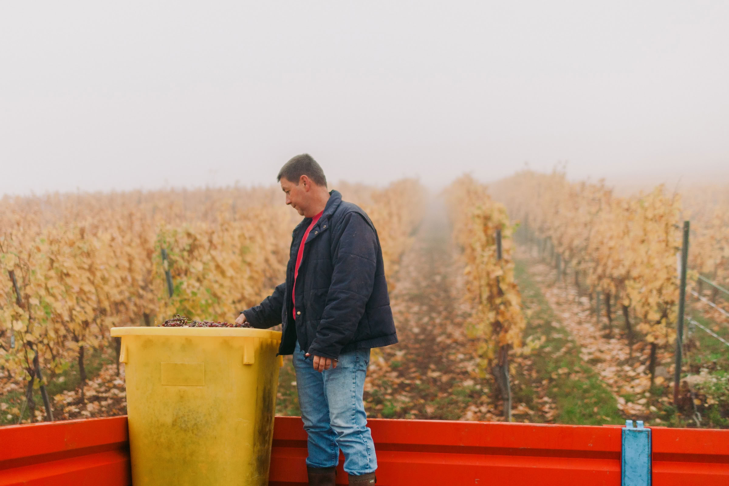 Wine estate photography: Domaine Rolly Gassmann - Rorschwihr - Alsace. Le Domaine Rolly Gassmann, situé à Rorschwihr en Alsace, est une propriété viticole familiale… - Image 18