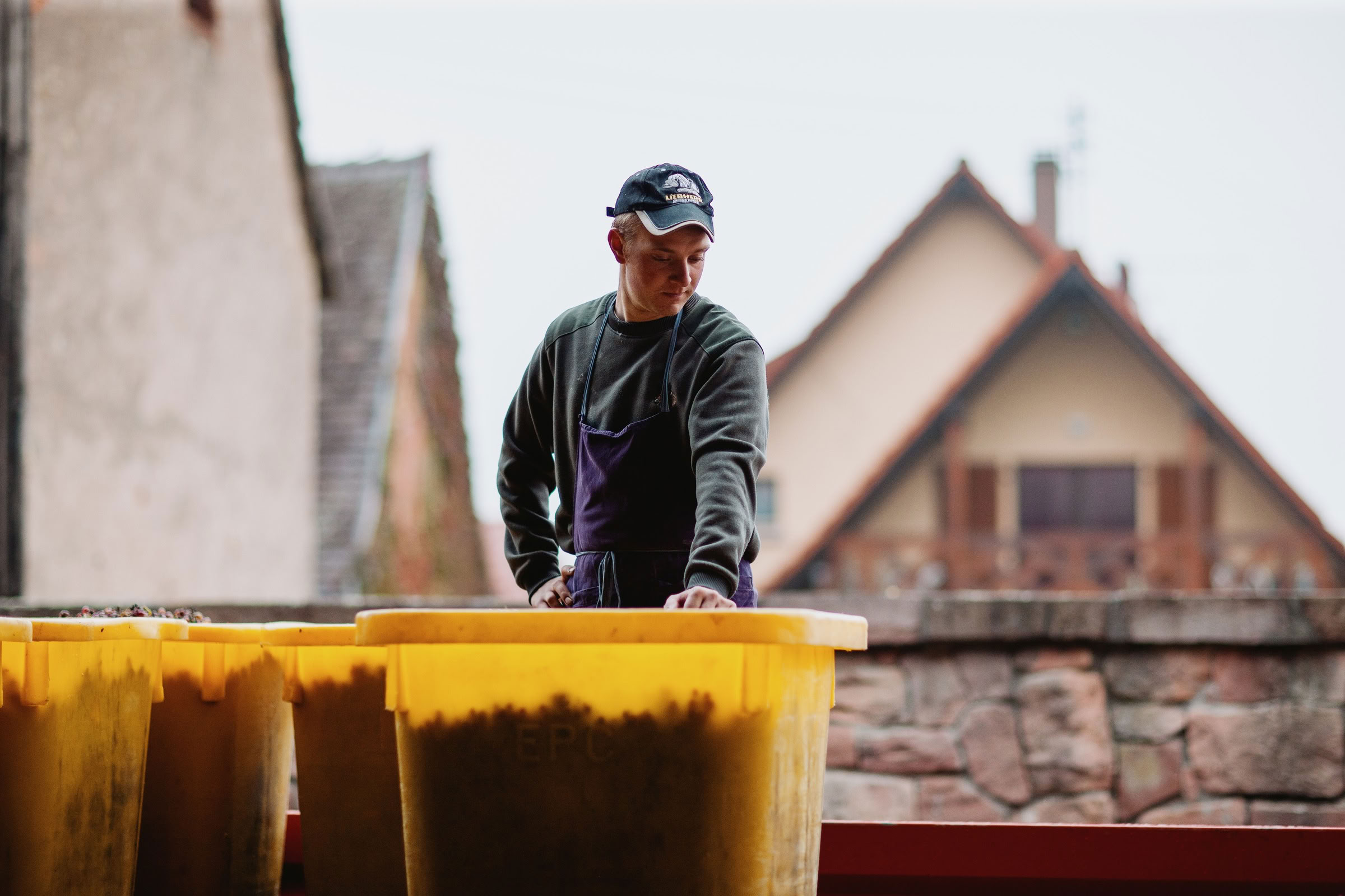 Wine estate photography: Domaine Rolly Gassmann - Rorschwihr - Alsace. Le Domaine Rolly Gassmann, situé à Rorschwihr en Alsace, est une propriété viticole familiale… - Image 26