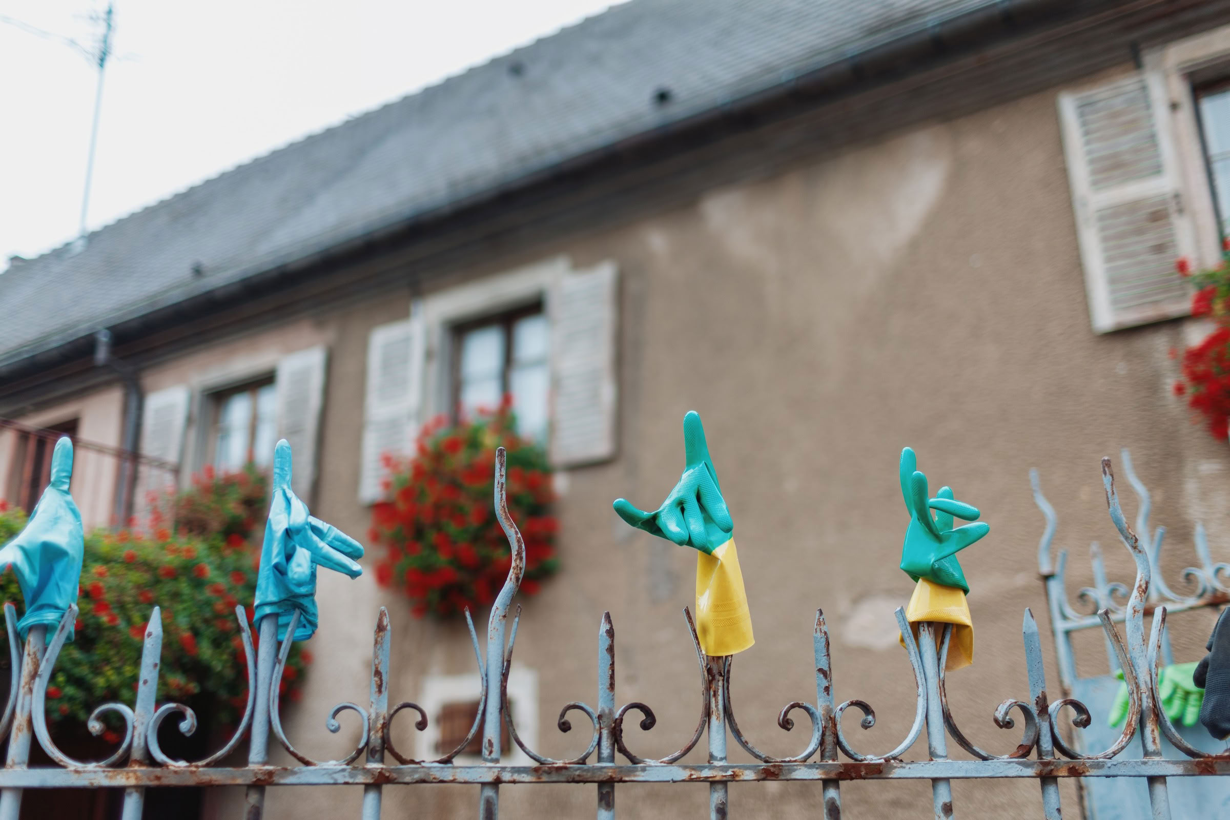 Wine estate photography: Domaine Rolly Gassmann - Rorschwihr - Alsace. Le Domaine Rolly Gassmann, situé à Rorschwihr en Alsace, est une propriété viticole familiale… - Image 30