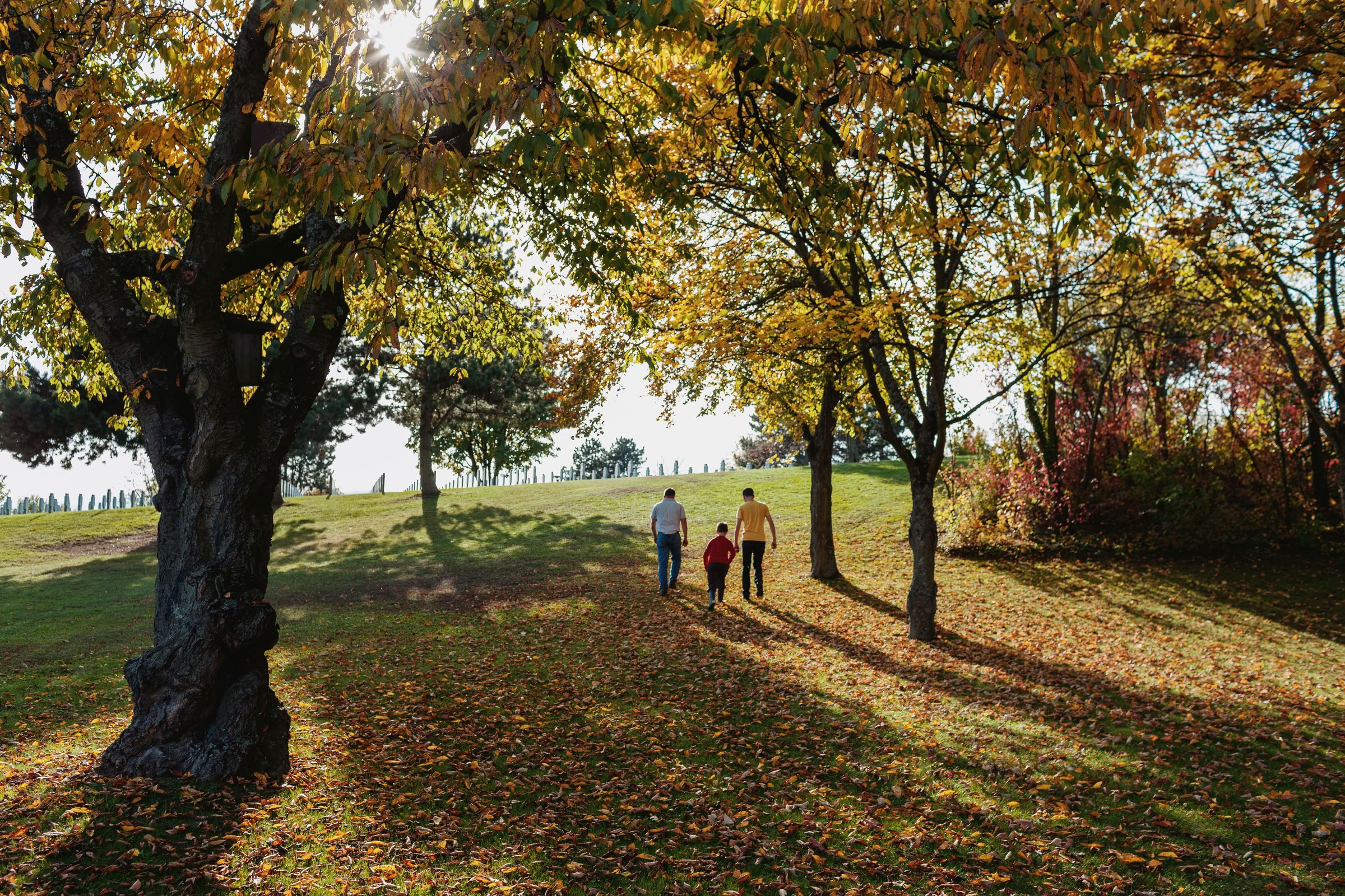 Wine estate photography: Domaine Rolly Gassmann - Rorschwihr - Alsace. Le Domaine Rolly Gassmann, situé à Rorschwihr en Alsace, est une propriété viticole familiale…