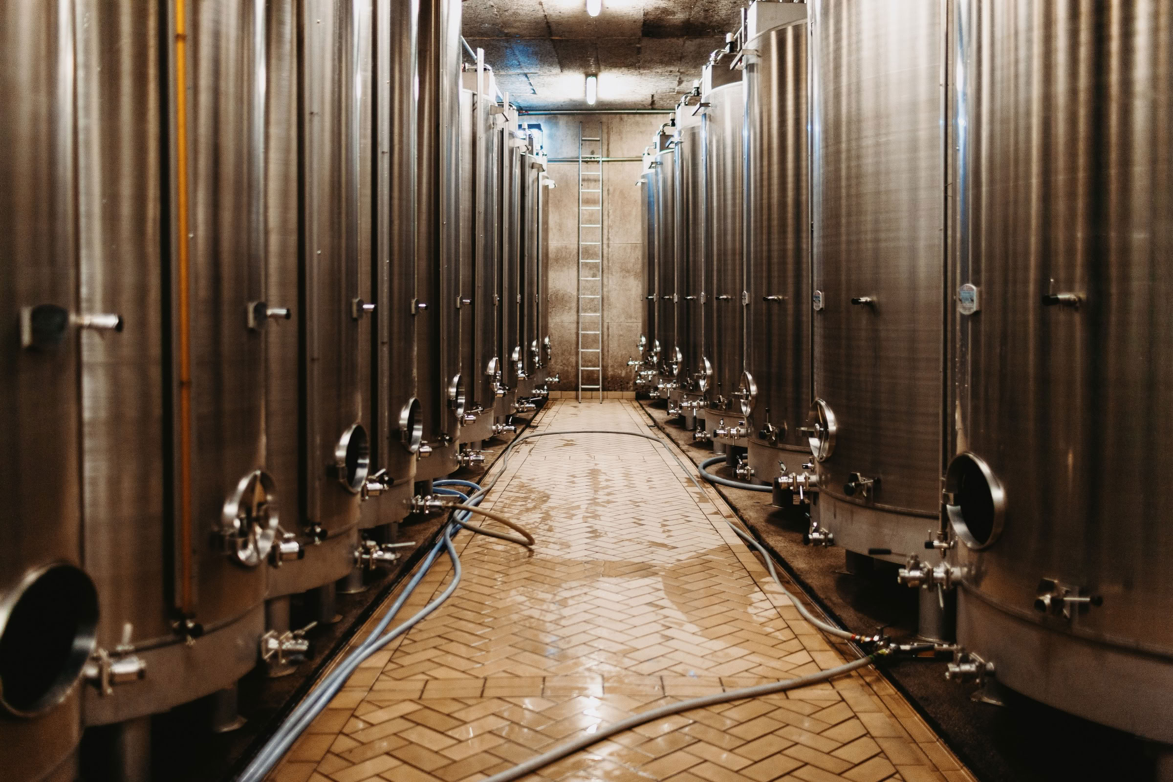 Wine estate photography: Domaine Rolly Gassmann - Rorschwihr - Alsace. Le Domaine Rolly Gassmann, situé à Rorschwihr en Alsace, est une propriété viticole familiale… - Image 40