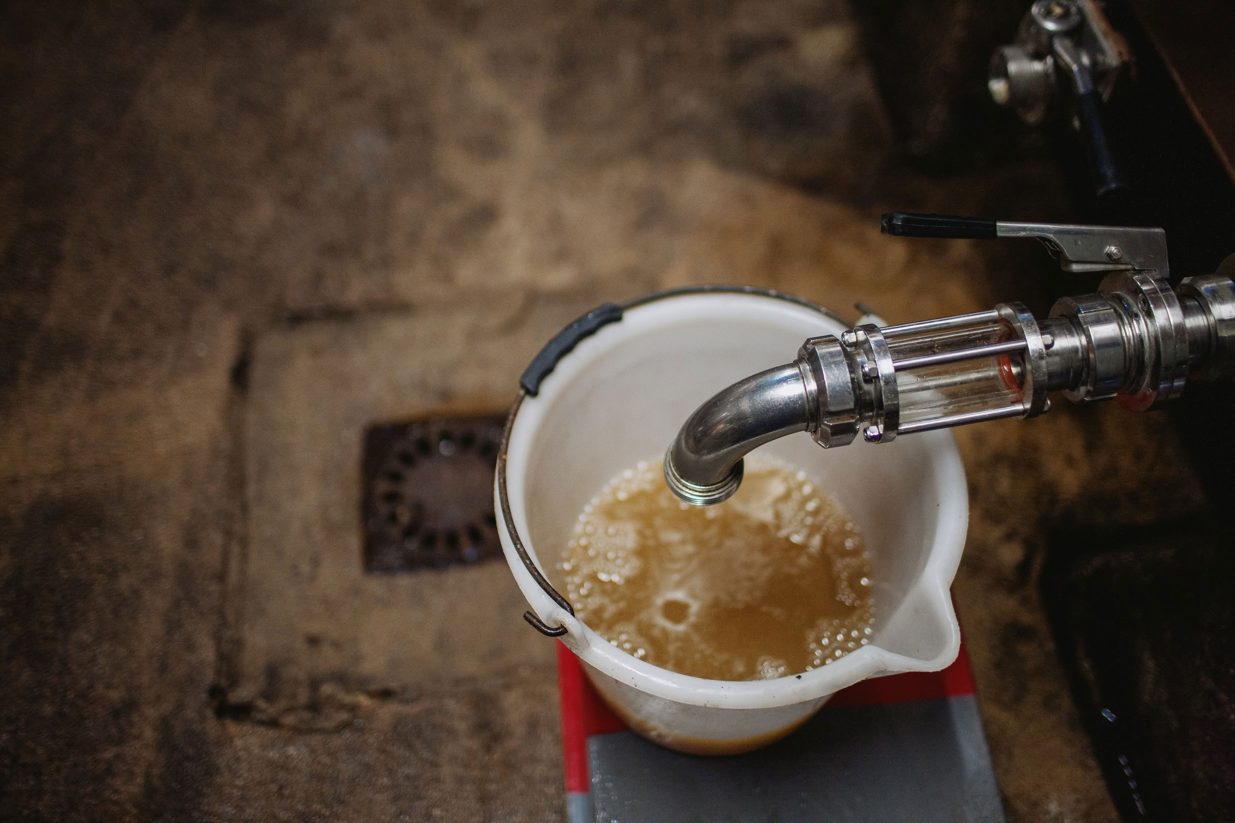Wine estate photography: Patrick Piuze - Chablis - Bourgogne. Patrick Piuze, a dynamic Québécois vintner, has carved a niche for himself in Chablis since 2000… - Image 4
