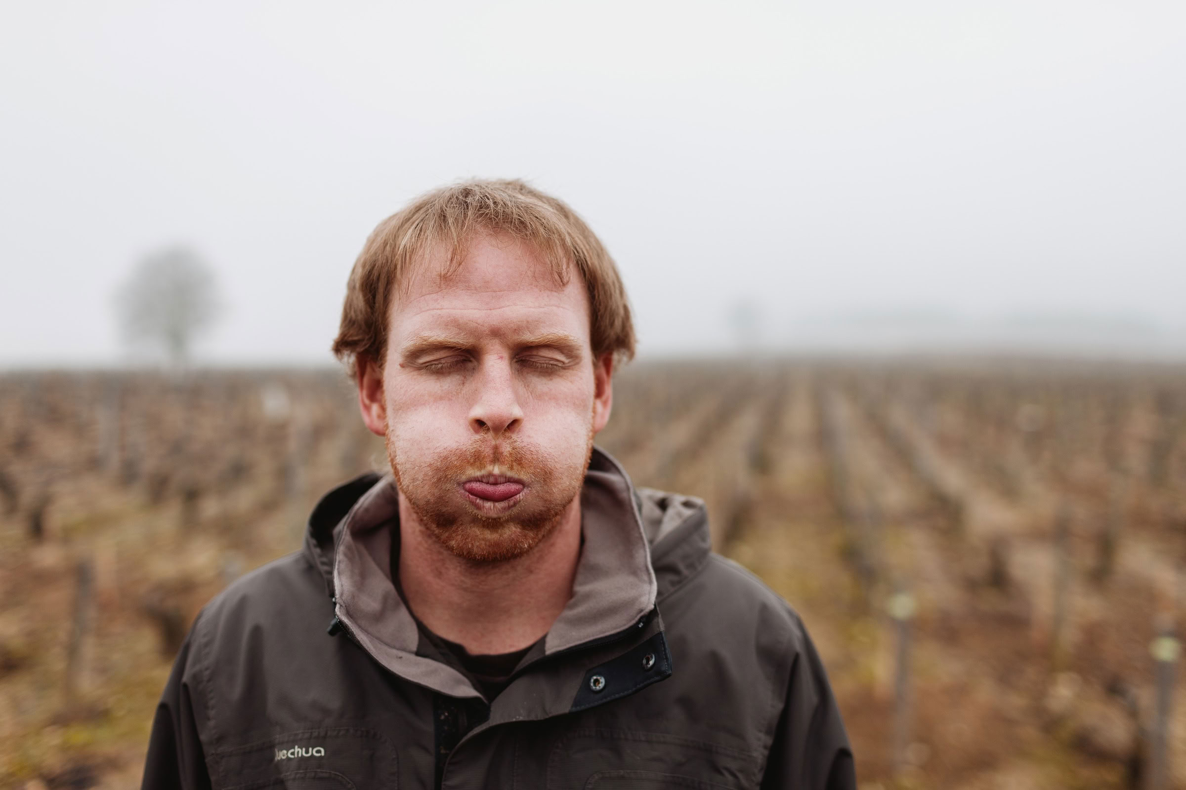 Wine estate photography: Patrick Piuze - Chablis - Bourgogne. Patrick Piuze, a dynamic Québécois vintner, has carved a niche for himself in Chablis since 2000… - Image 17