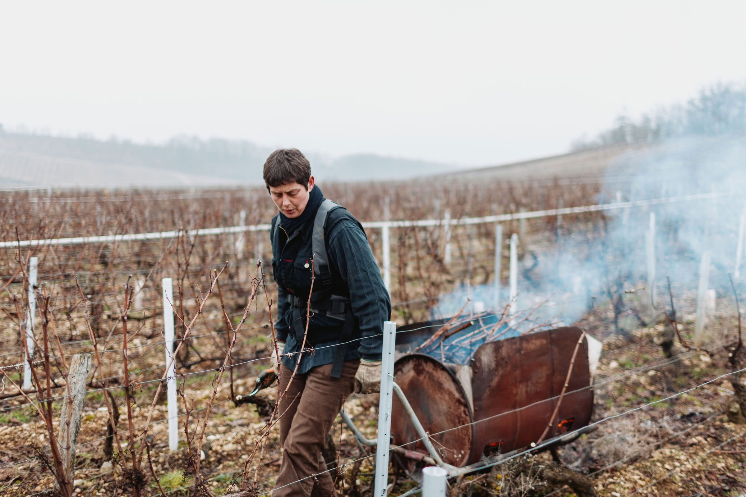 Wine estate photography: Patrick Piuze - Chablis - Bourgogne. Patrick Piuze, a dynamic Québécois vintner, has carved a niche for himself in Chablis since 2000… - Image 18