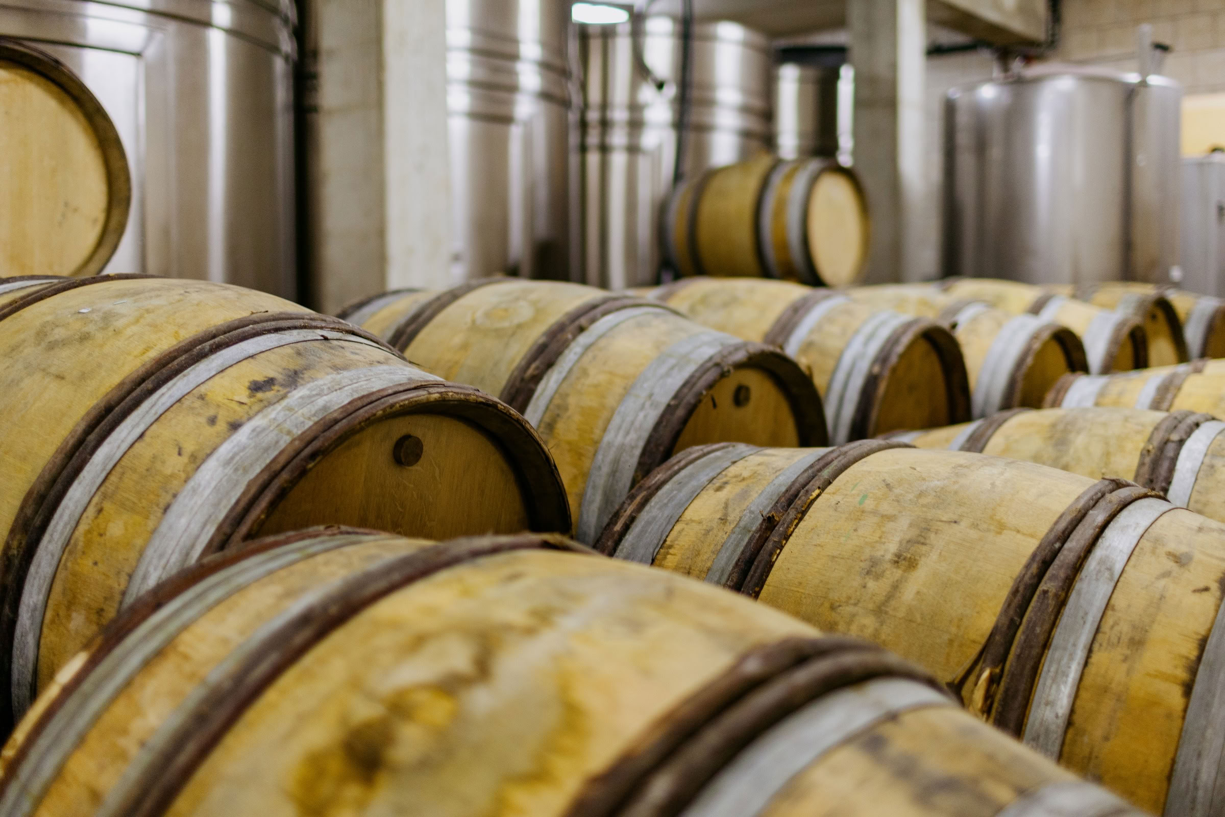 Wine estate photography: Patrick Piuze - Chablis - Bourgogne. Patrick Piuze, a dynamic Québécois vintner, has carved a niche for himself in Chablis since 2000… - Image 27