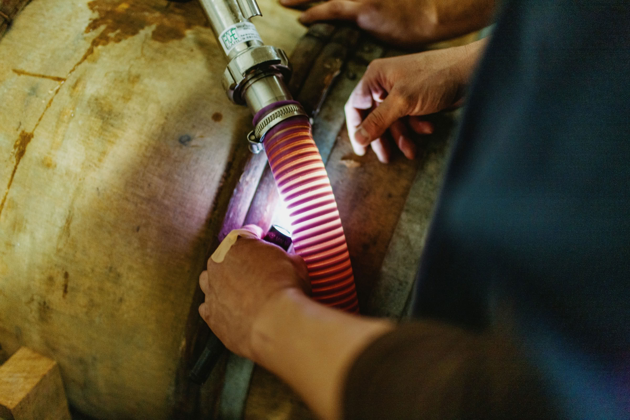 Wine estate photography: Patrick Piuze - Chablis - Bourgogne. Patrick Piuze, a dynamic Québécois vintner, has carved a niche for himself in Chablis since 2000… - Image 29