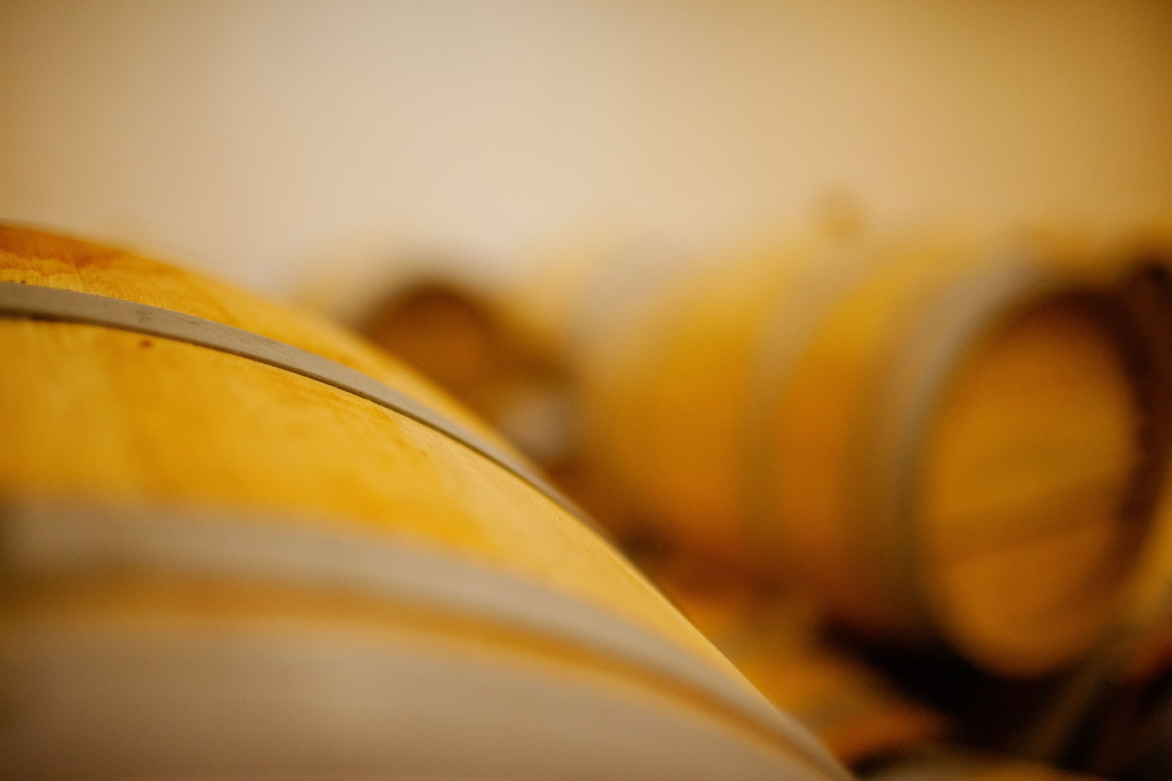 Wine estate photography: Saint Emilion - Bordeaux  - 2008. Saint Emilion represents the unique characteristics of a region's land affecting its produce. It… - Image 14