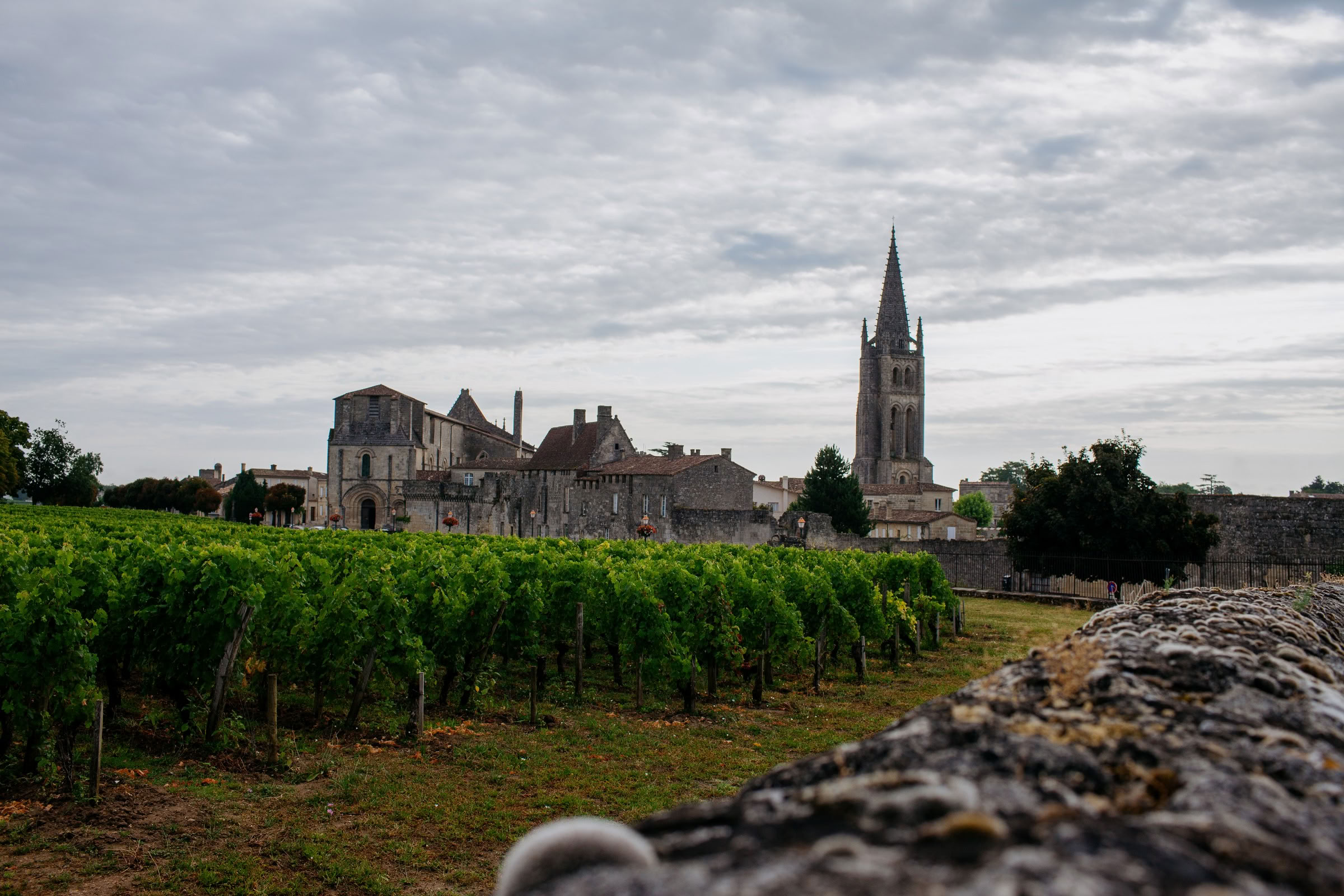 Wine estate photography: Saint Emilion - Bordeaux  - 2008. Saint Emilion represents the unique characteristics of a region's land affecting its produce. It… - Image 23