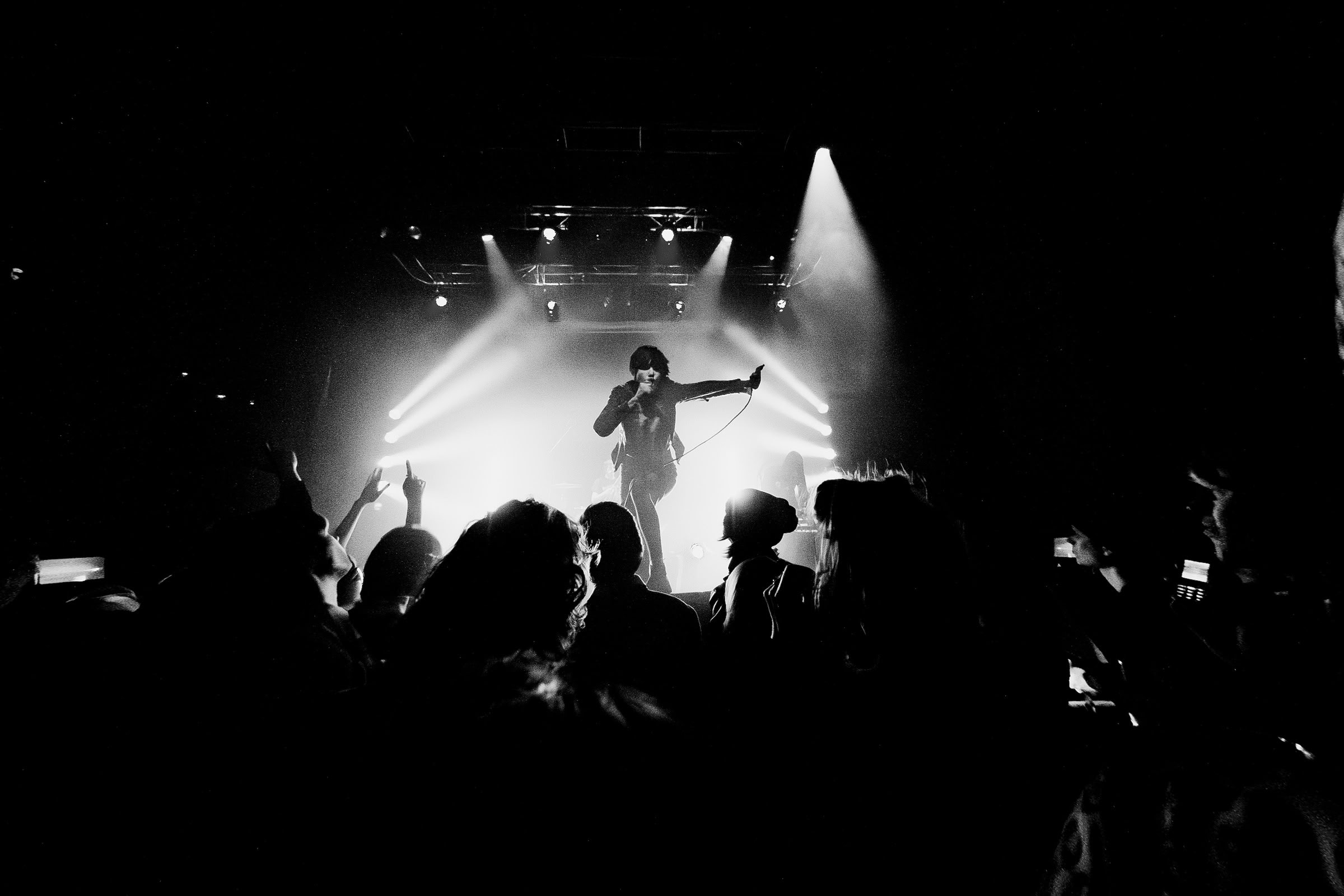 Concert photography — of Crystal Castle — at Le Grand Mix - Tourcoing — (2008) - Image 1