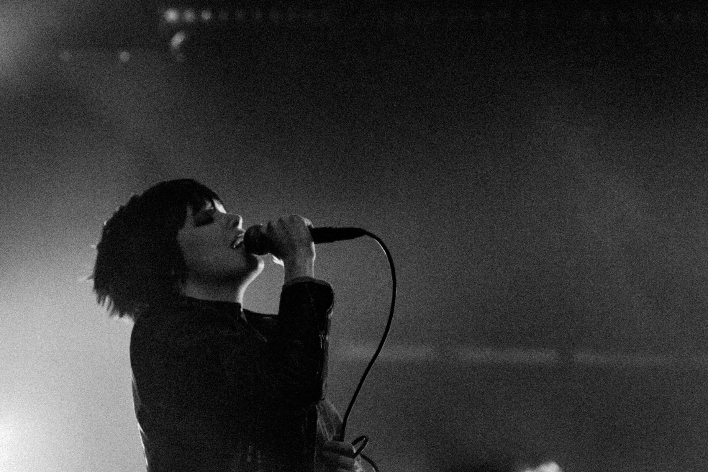 Concert photography — of Crystal Castle — at Le Grand Mix - Tourcoing — (2008) - Image 12