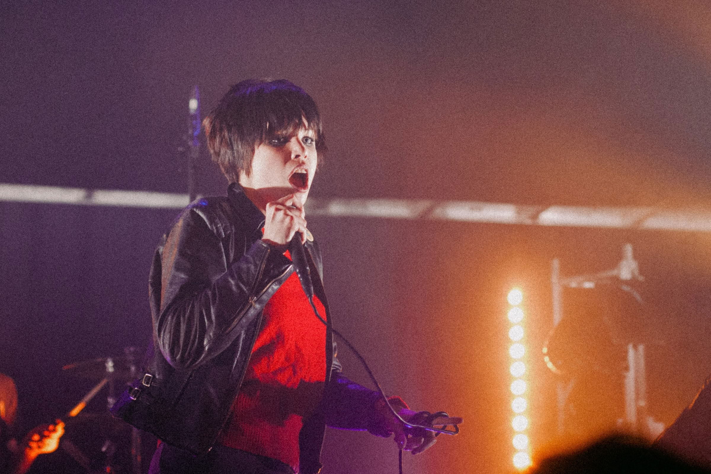 Concert photography — of Crystal Castle — at Le Grand Mix - Tourcoing — (2008) - Image 14