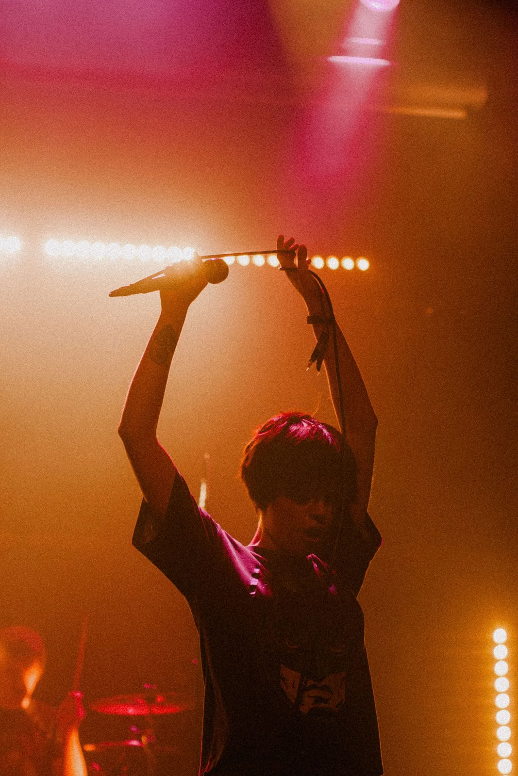 Concert photography — of Crystal Castle — at Le Grand Mix - Tourcoing — (2008) - Image 18