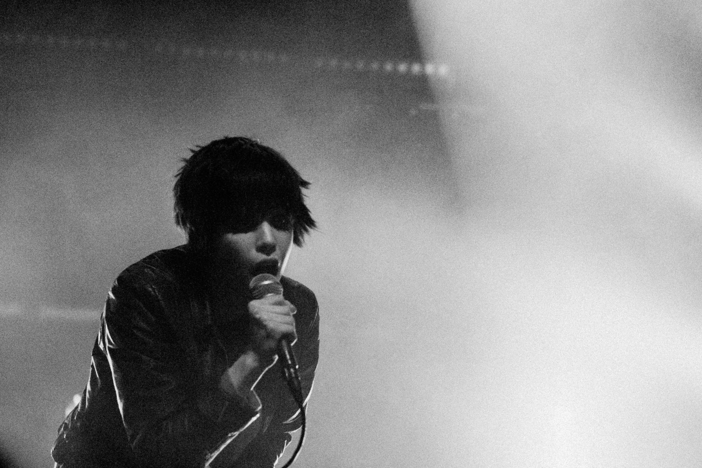 Concert photography — of Crystal Castle — at Le Grand Mix - Tourcoing — (2008) - Image 19