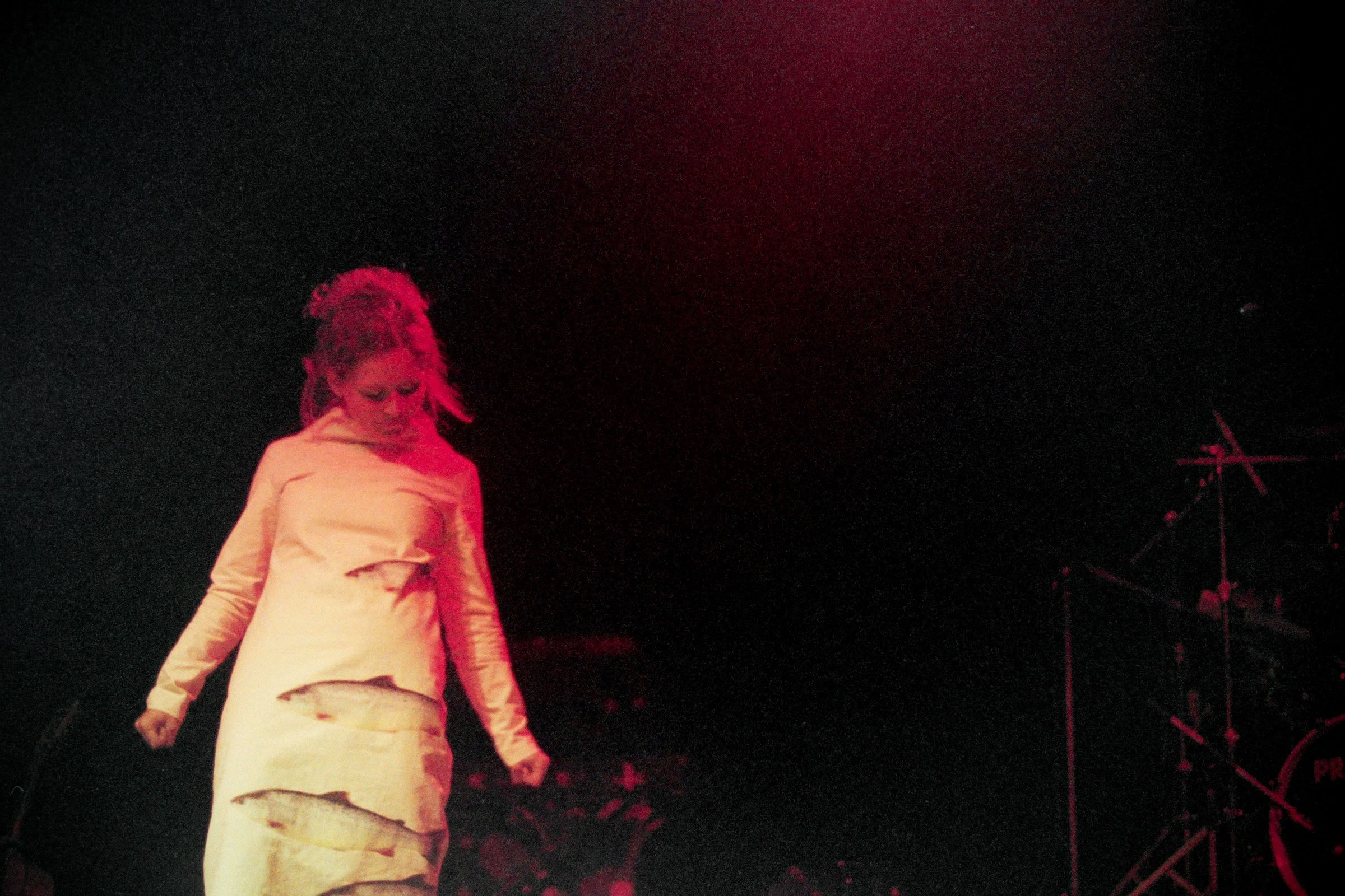 Concert photography — of Emilíana Torrini — at L'Aeronef - Lille — (1999) - Image 7