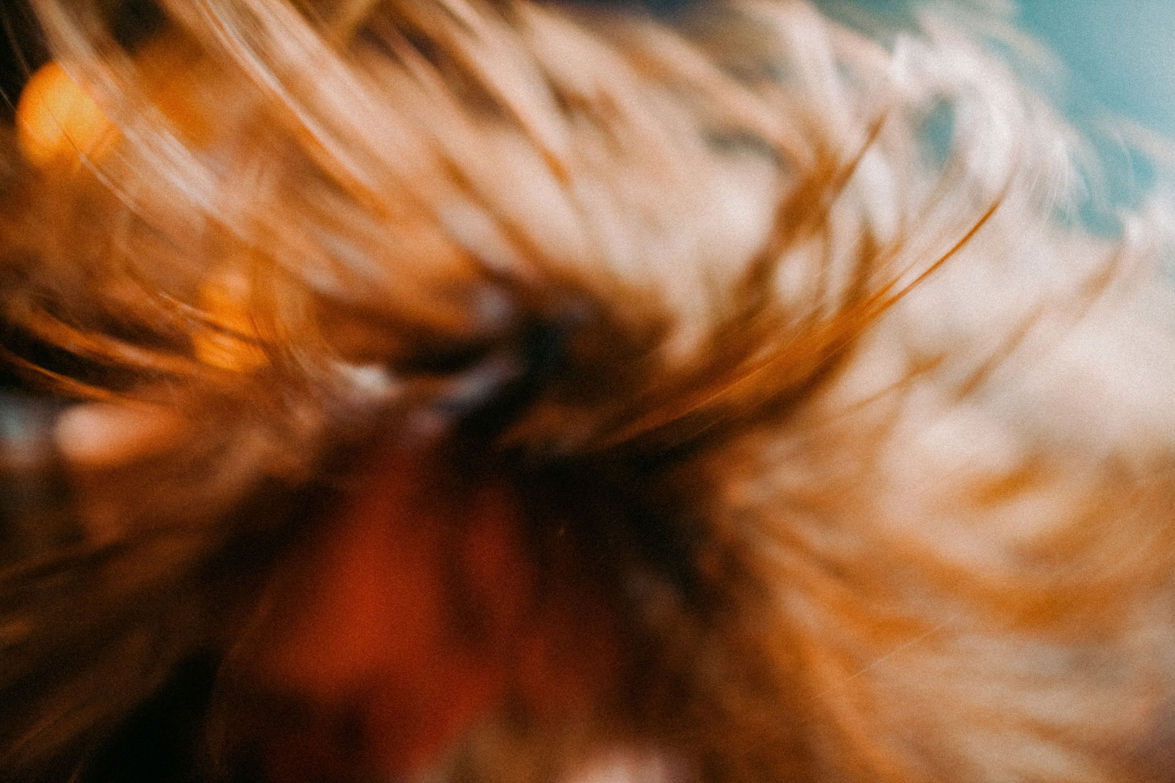 Concert photography — of Gojira — at Le Grand Mix - Tourcoing — (2009) - Image 7