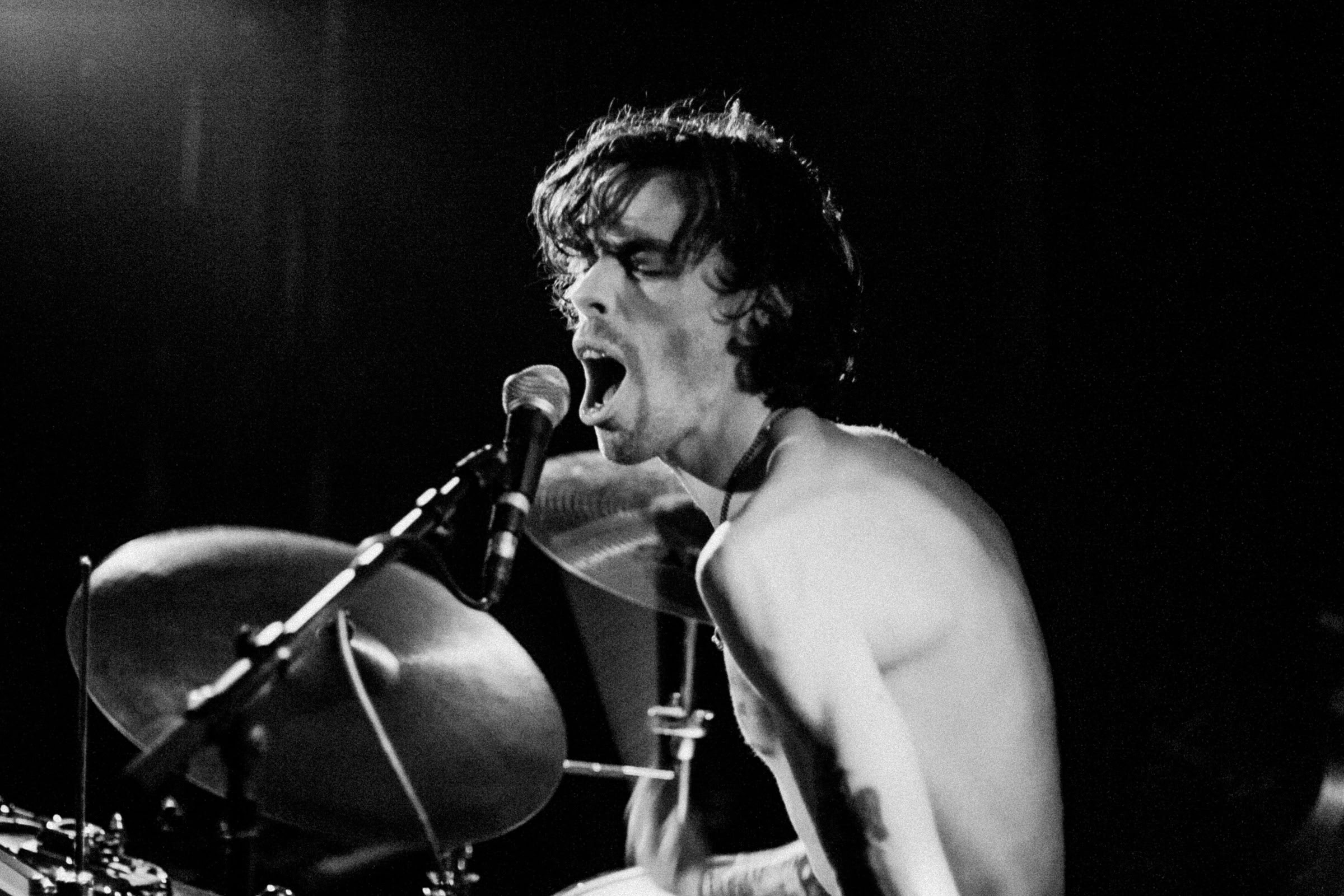 Concert photography — of Lullabye Arkestra — at La Malterie - Lille — (2023) - Image 3