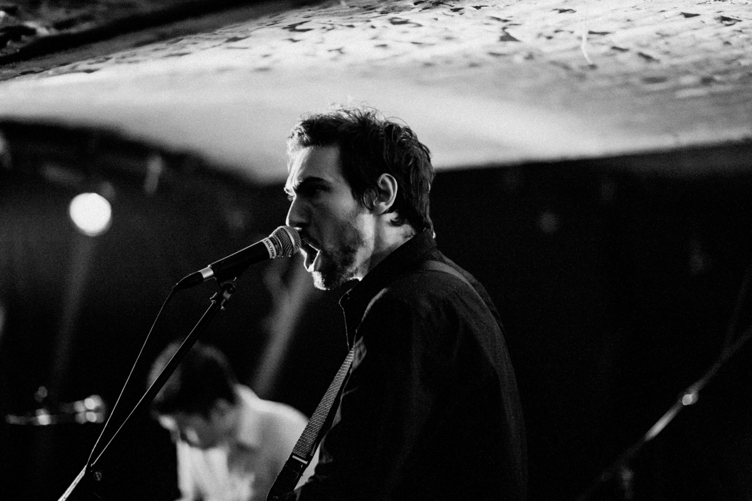 Concert photography — of Snowman — at La Malterie - Lille — (2009) - Image 1