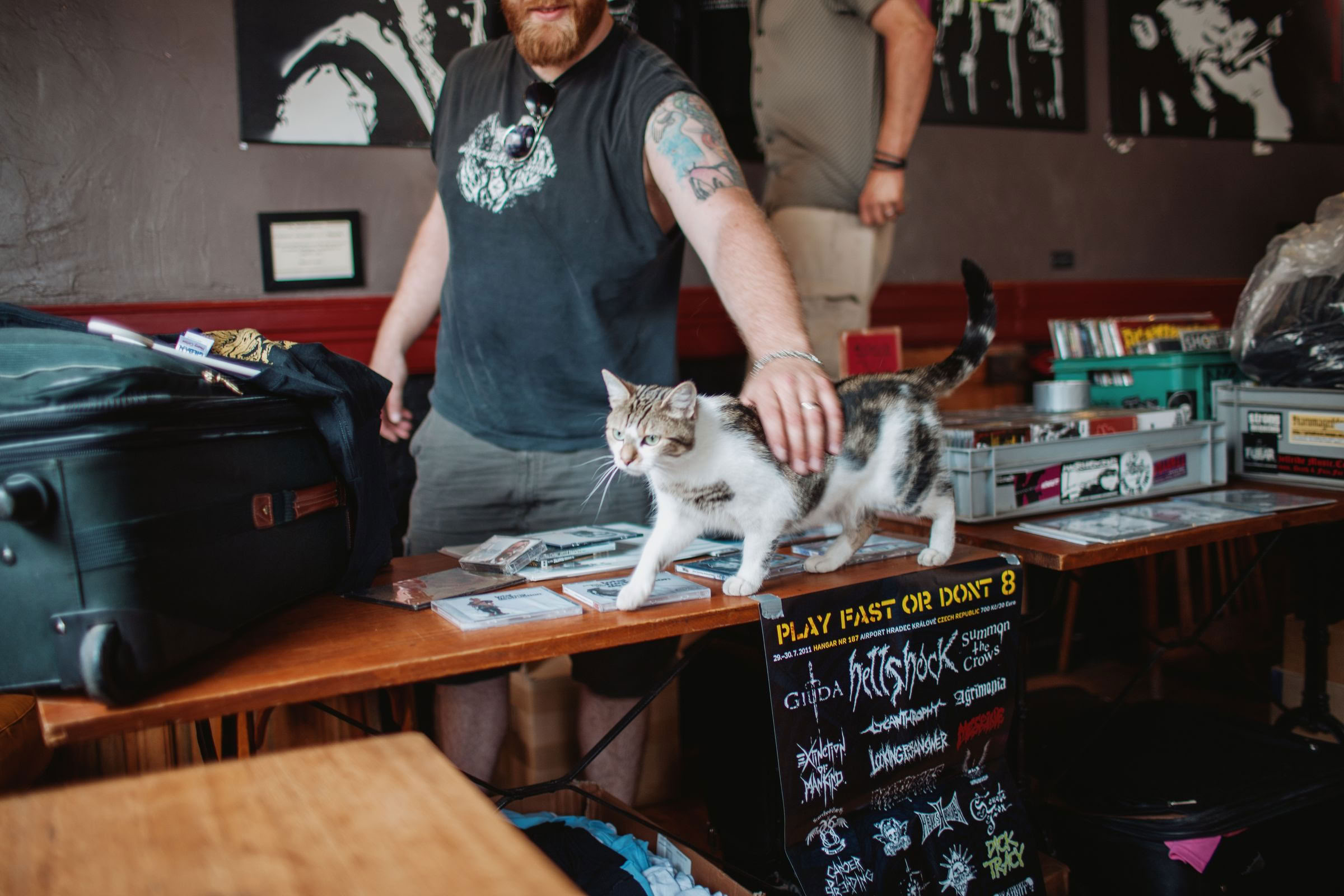 Concert photography — of Total Fucking Destruction — at Kaotoxin - Lille — (2011) - Image 6