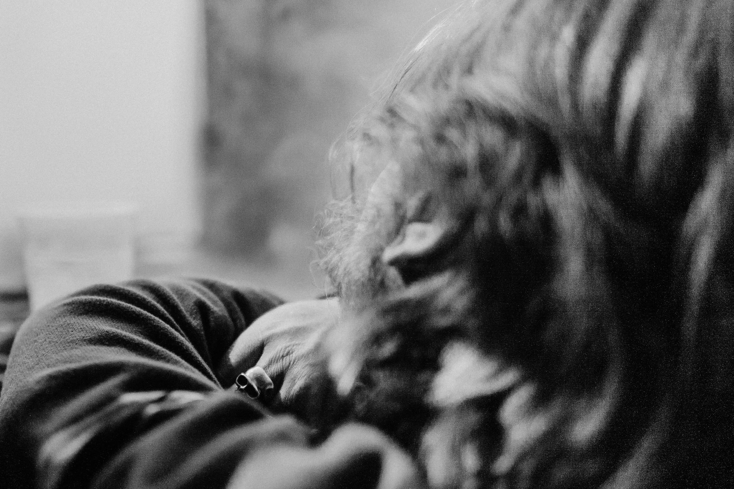 Concert photography — of Sunn O))) — at Villette Sonique - Paris — (2009) - Image 2